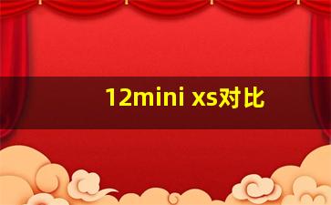 12mini xs对比